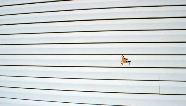 Best Steel Siding Installation  in Silverton, OH